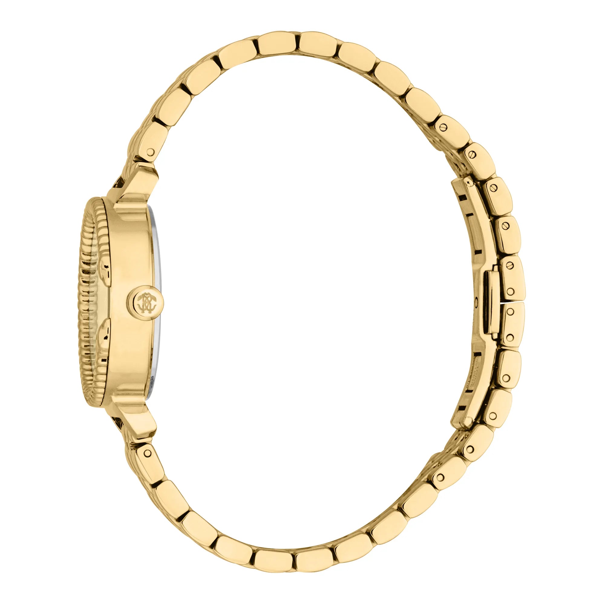 Roberto Cavalli Roberto Cavalli Lady RC5L061M1055 — immagine 3