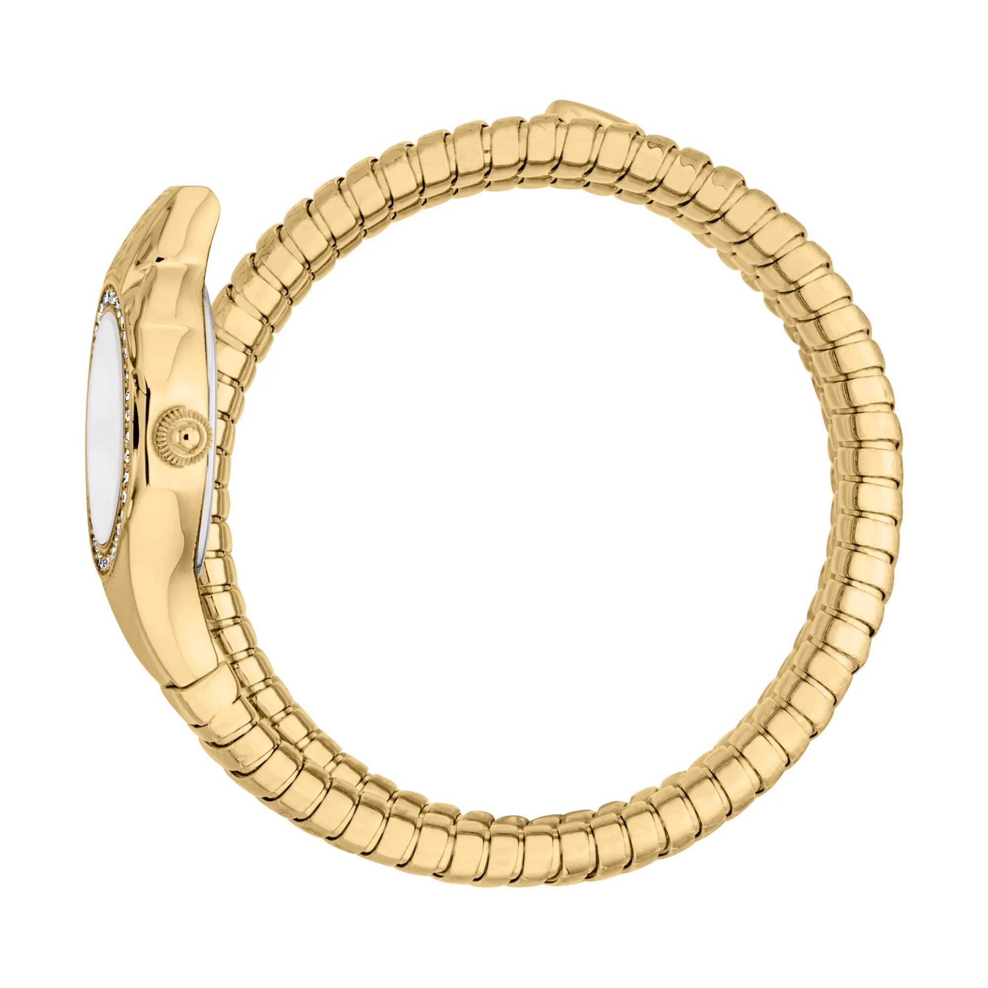 Just Cavalli Just Cavalli Signature Snake Vita Yellow Gold Silver — immagine 3