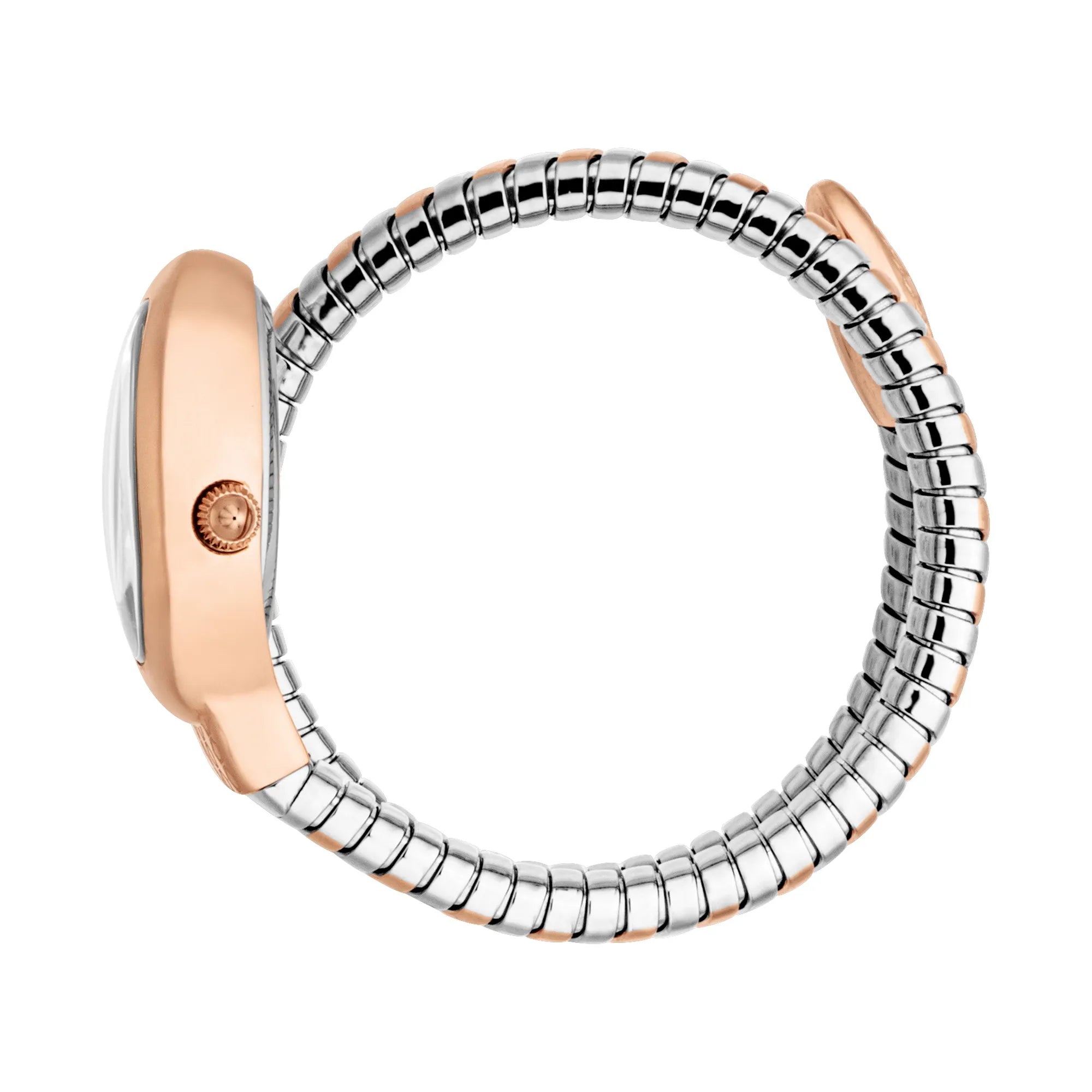 Just Cavalli Just Cavalli Signature Snake Eclisse Two Tones RG Silver — immagine 3
